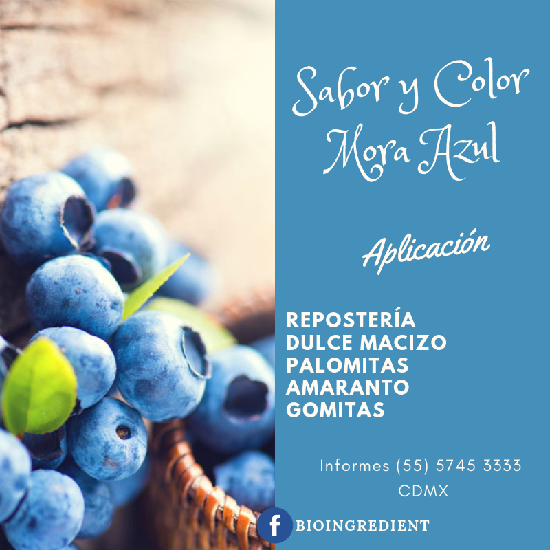 Bioingredient Technology S.A. de C.V._002